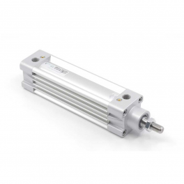 Пневмоцилиндр DMC-050-SYA-0170-R3 Pemaks